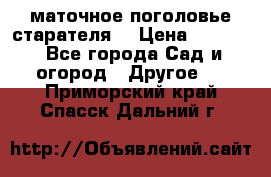 маточное поголовье старателя  › Цена ­ 3 700 - Все города Сад и огород » Другое   . Приморский край,Спасск-Дальний г.